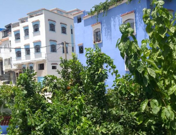 Villa Rita Chaouen Guest house chefchaouen Apartment Deluxe